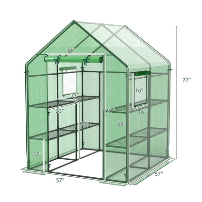 Walk-In Greenhouse, 56 x 56 x 77 Inch, Observation Windows, Green