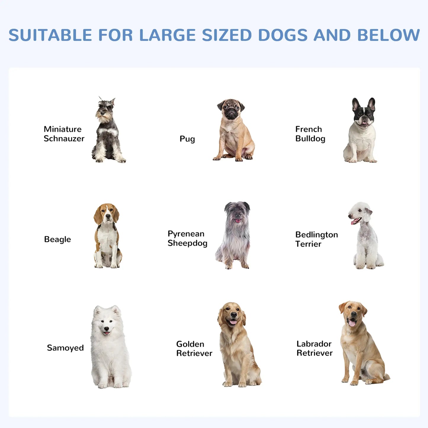 Outdoor Dog Kennel With Roof, Steel Lock, Mesh Sidewalls, 9.8' x 9.8' x 7.7' Houses, Kennels & Pens at Gallery Canada