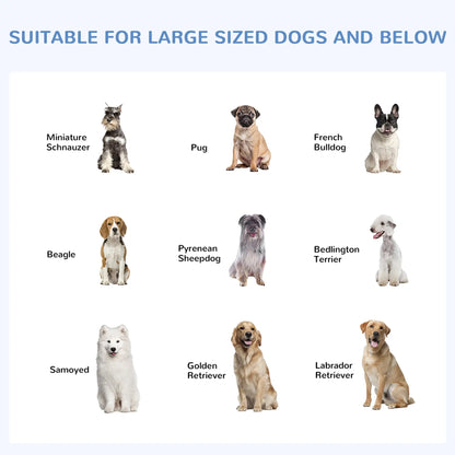 Outdoor Dog Kennel With Roof, Steel Lock, Mesh Sidewalls, 9.8' x 9.8' x 7.7' Houses, Kennels & Pens at Gallery Canada