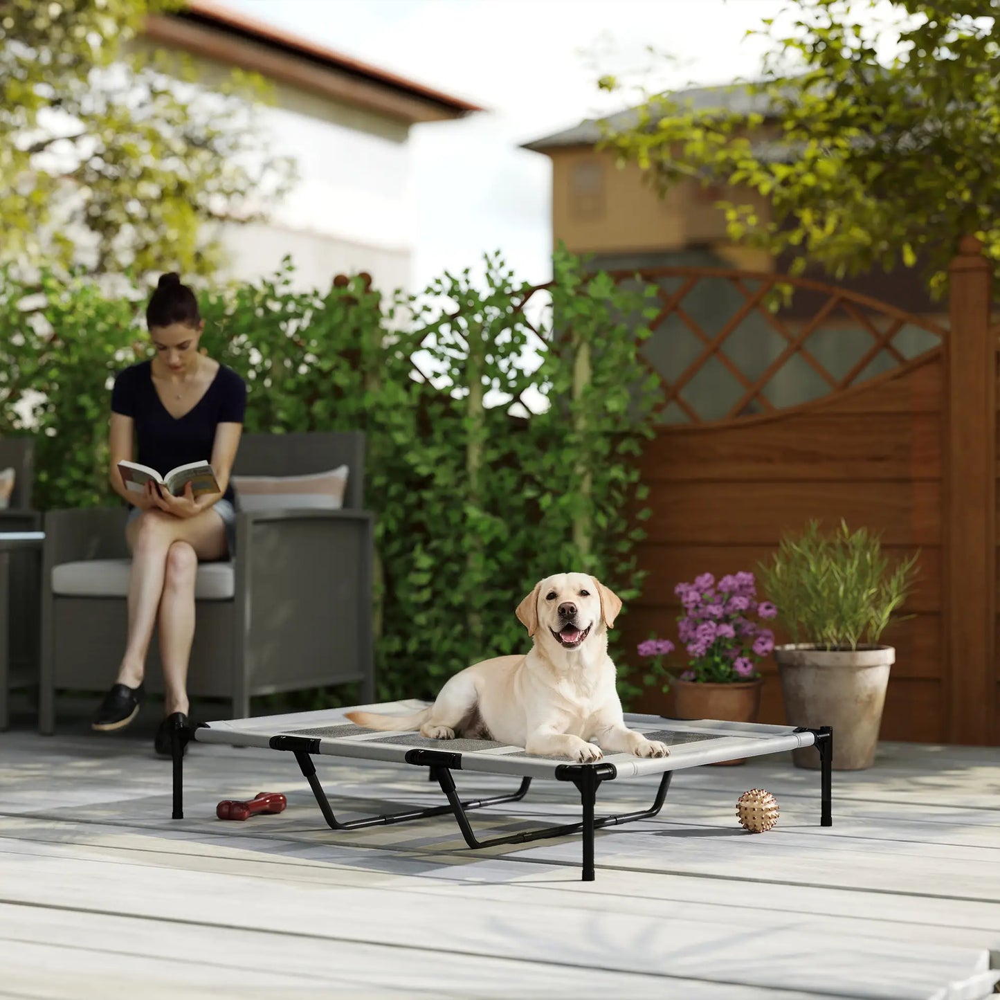 Elevated Dog Bed, XL Dog Cot, 48" x 36" x 9", Light Grey Elevated Dog Beds at Gallery Canada