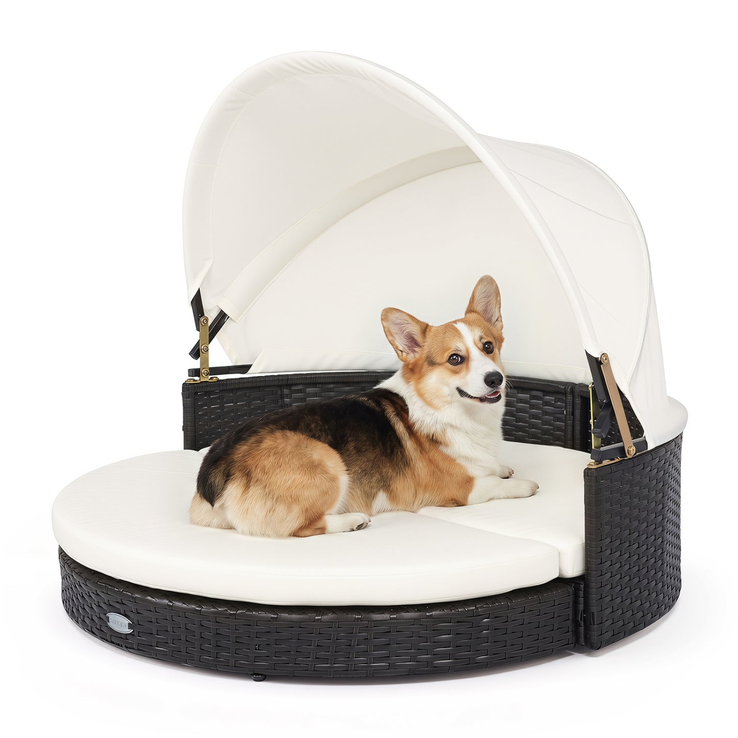 Maison pour chien en osier, auvent rétractable, coussin amovible, blanc