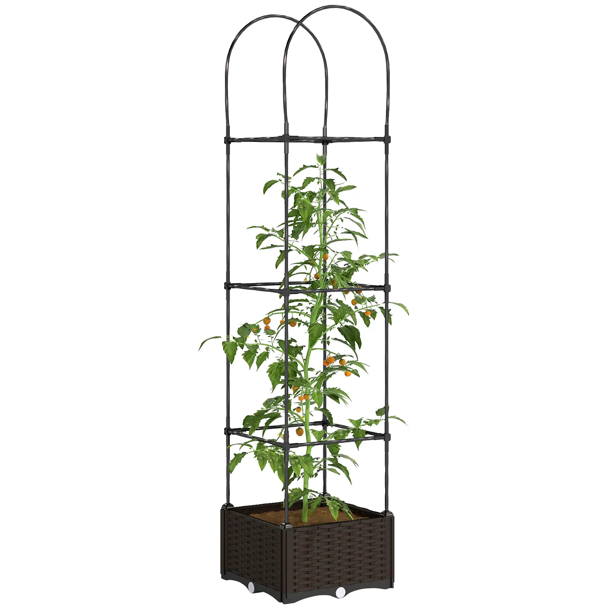Raised Garden Bed, Tomato Planter Cage, Plastic Box with Trellis, Self-Watering, Drainage Holes Elevated Garden Beds Brown, Black at Gallery Canada