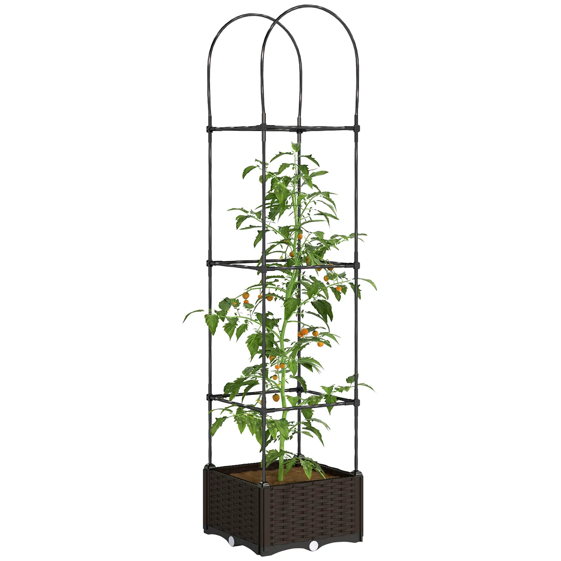 Raised Garden Bed, Tomato Planter Cage, Plastic Box with Trellis, Self-Watering, Drainage Holes Elevated Garden Beds Brown, Black at Gallery Canada