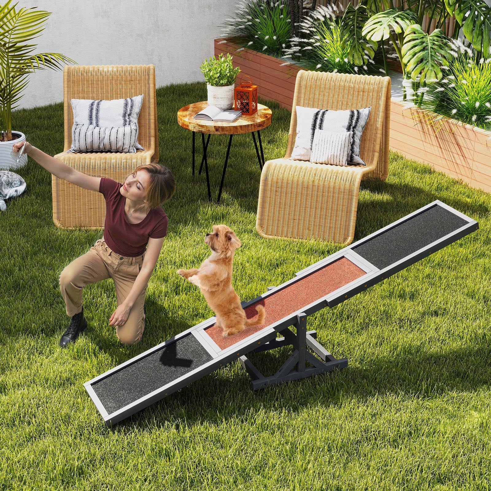 Wooden Dog Agility Seesaw Dog Outdoor Run Game Toy for Obstacle Courses, Gray Dog Supplies at Gallery Canada
