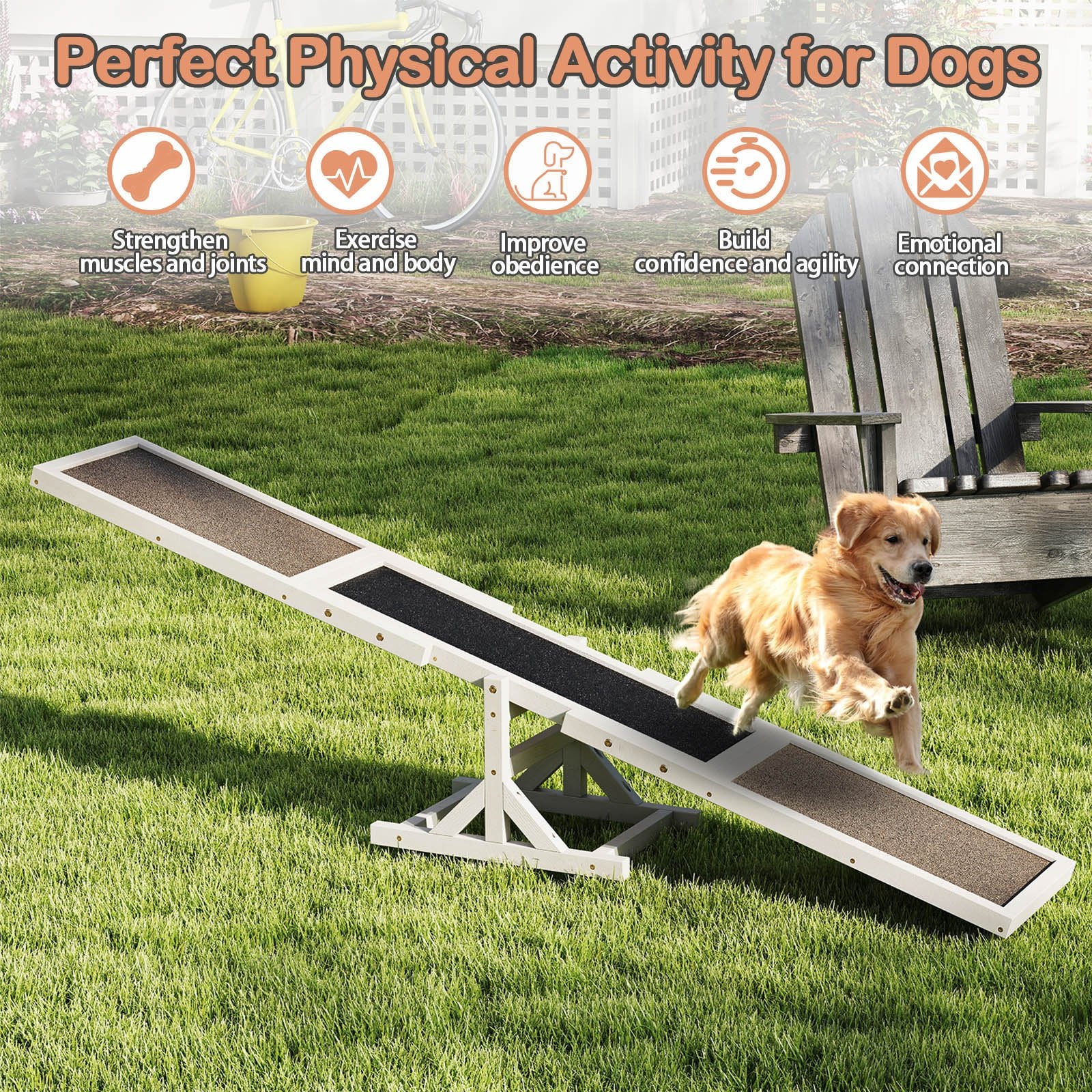 Wooden Dog Agility Seesaw Dog Outdoor Run Game Toy for Obstacle Courses, White Dog Supplies at Gallery Canada