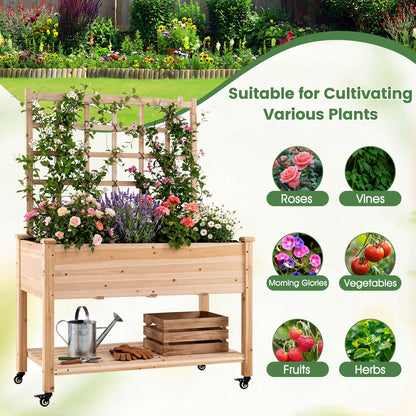 Wooden Mobile Raised Garden Bed On Wheels With Trellis, Natural Raised Garden Beds at Gallery Canada