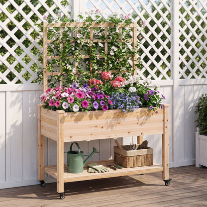 Wooden Mobile Raised Garden Bed On Wheels With Trellis, Natural Raised Garden Beds at Gallery Canada