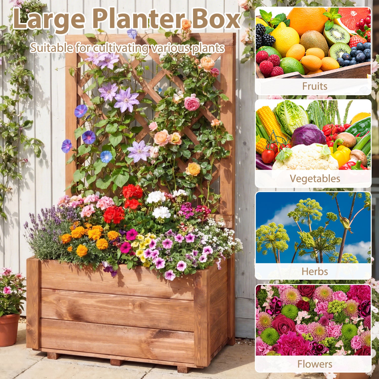 Wooden Raised Garden Bed, Lattice Trellis, Drainage Holes, Orange Raised Garden Beds at Gallery Canada