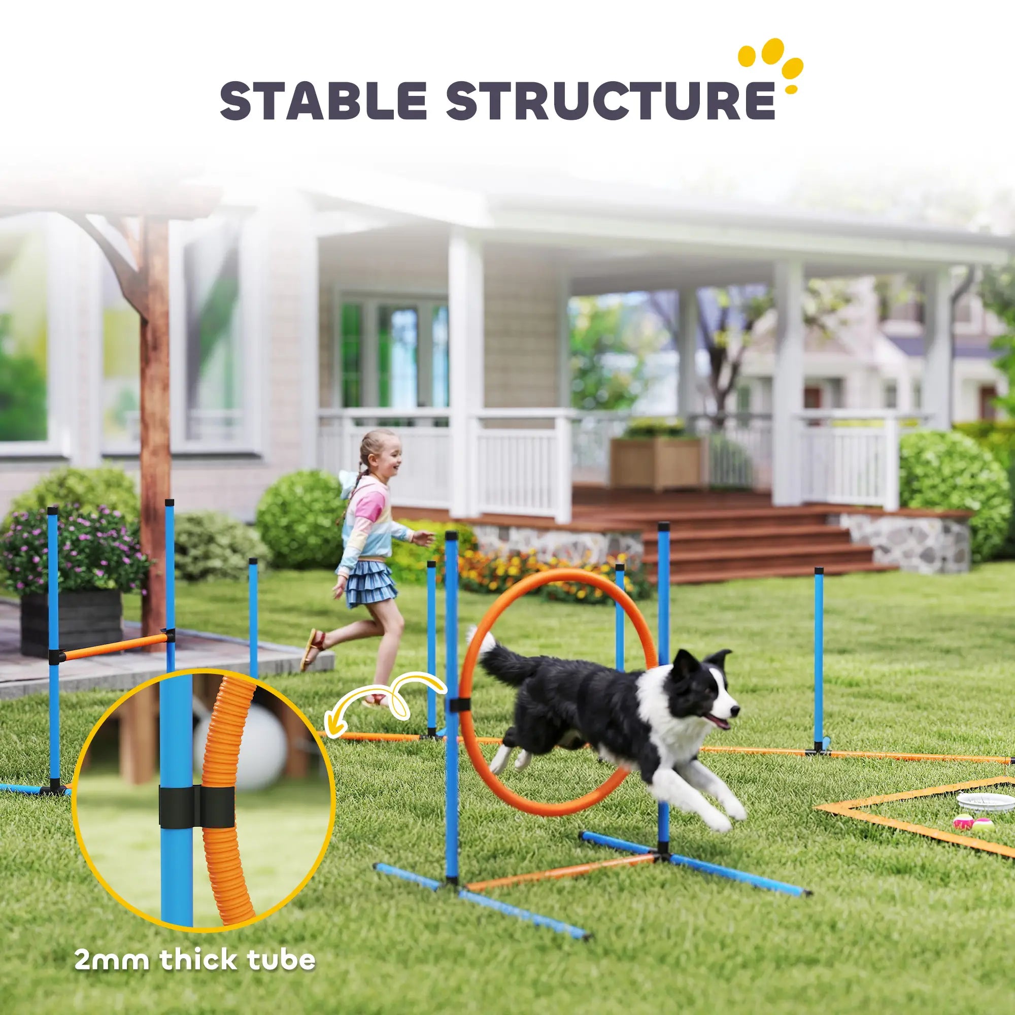 Dog Agility Training Equipment, 5PCS Obstacle Course Starter Kit With Bag Dog Agility Training Equipment at Gallery Canada