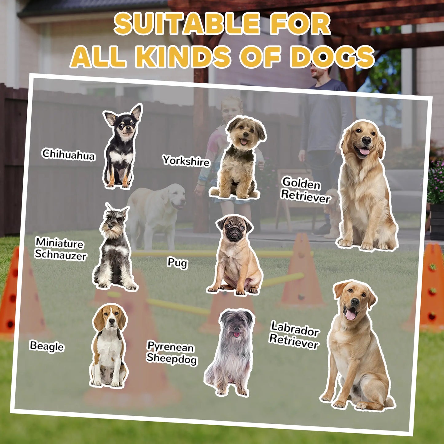 Dog Agility Hurdle Set, 6 Cones & Poles, Orange Dog Agility Training Equipment at Gallery Canada