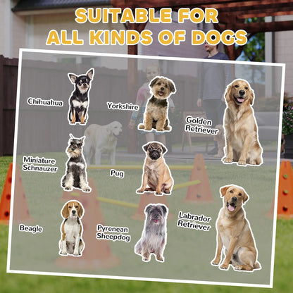 Dog Agility Hurdle Set, 6 Cones & Poles, Orange Dog Agility Training Equipment at Gallery Canada