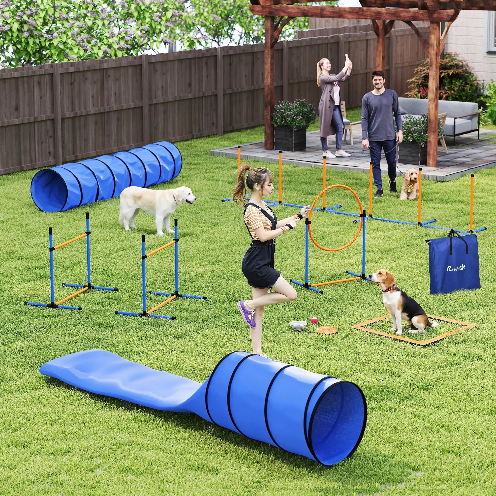 11-Piece Dog Agility Training Set, 2 Tunnels, Adjustable Jumps, Orange Blue Dog Agility Training Equipment at Gallery Canada