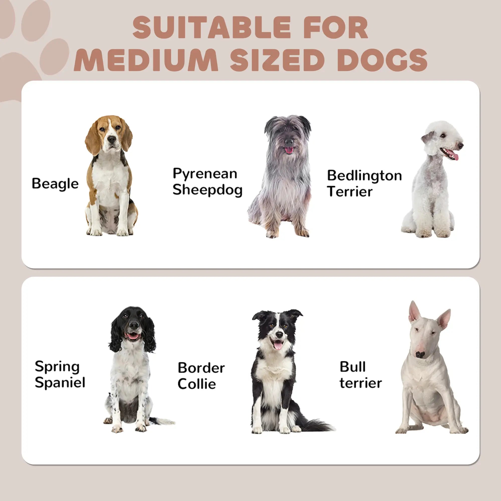 Dog Food Storage Container, Adjustable Panel, Hooks, Medium Size, Black Dog Bowls at Gallery Canada