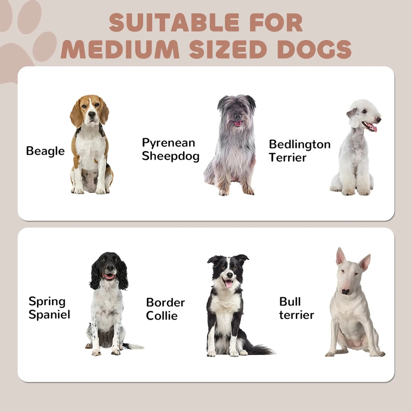 Dog Food Storage Container, Adjustable Panel, Hooks, Medium Size, Black Dog Bowls at Gallery Canada