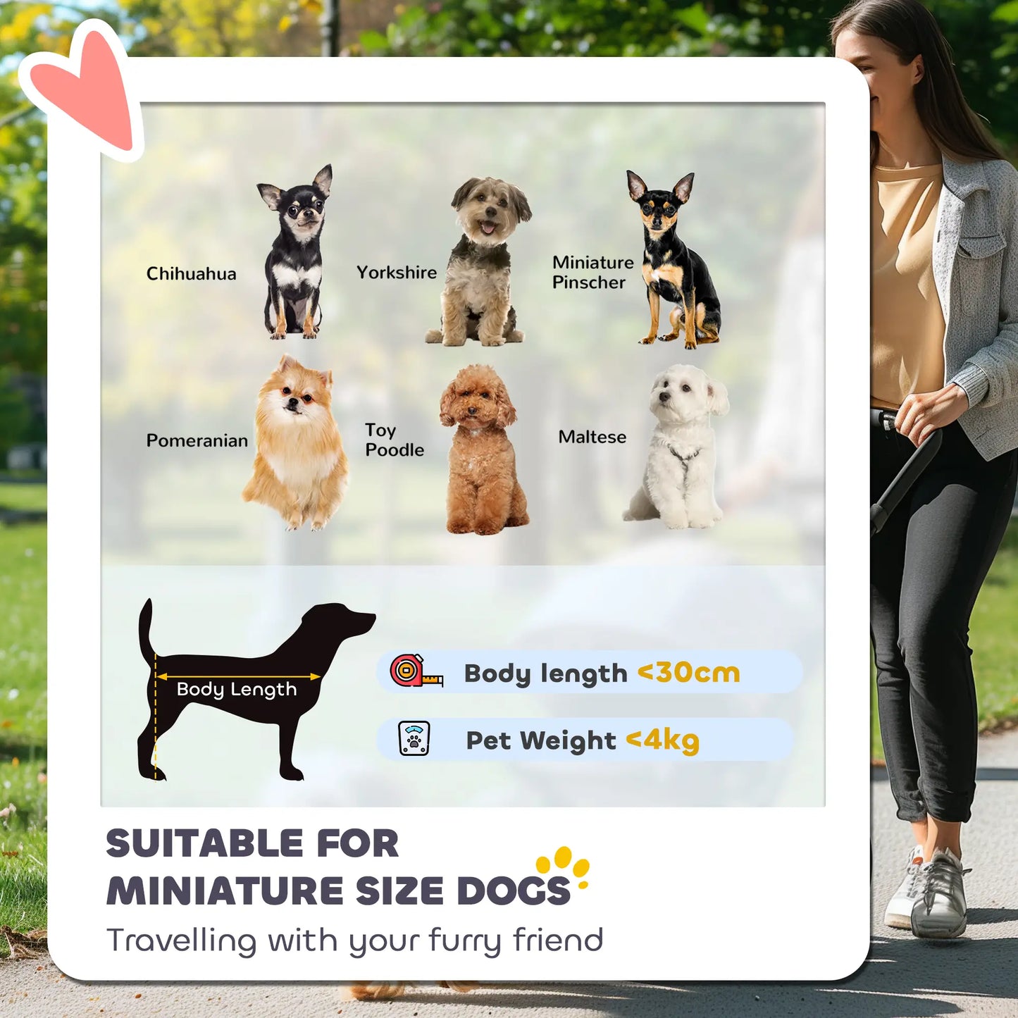 Foldable Dog Stroller, Lightweight, Storage Bag, Cup Holder, Light Grey Dog Bike Trailers & Strollers at Gallery Canada