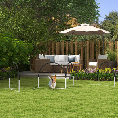 Dog Agility Kit, Obstacle Course Training Equipment, Weave Poles, Carry Bag, Black Dog Agility Training Equipment at Gallery Canada