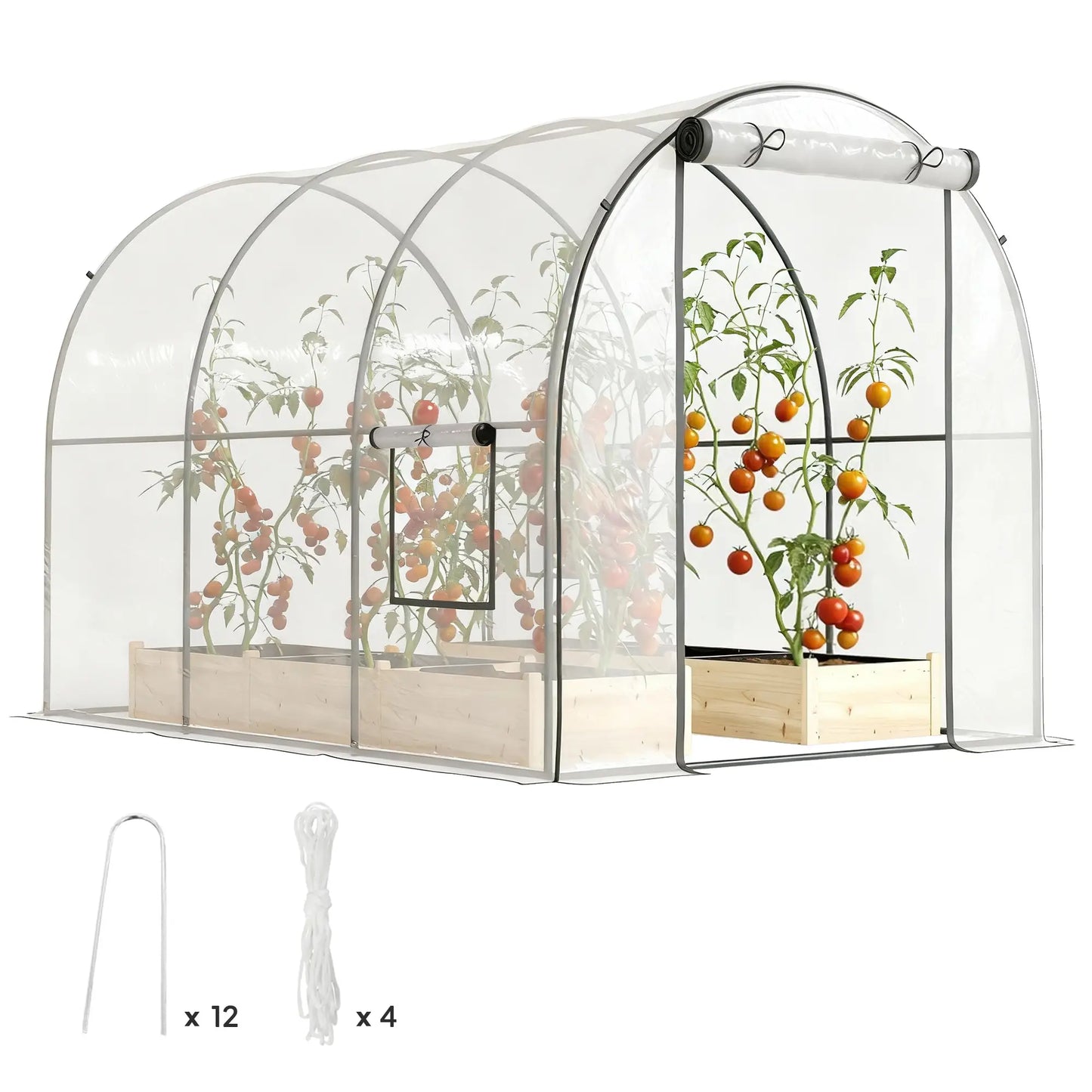 Polytunnel Greenhouse, Roll-Up Door, Mesh Window, 3 x 2 x 2 m, Clear