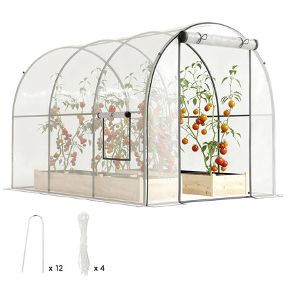 Polytunnel Greenhouse, Roll-Up Door, Mesh Window, 3 x 2 x 2 m, Clear