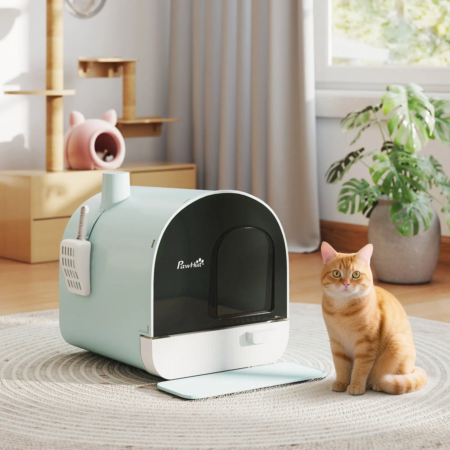 Cat Litter Box with Lid, Removable Tray, Scoop, Filter, Green Cat Litter Box Enclosures at Gallery Canada
