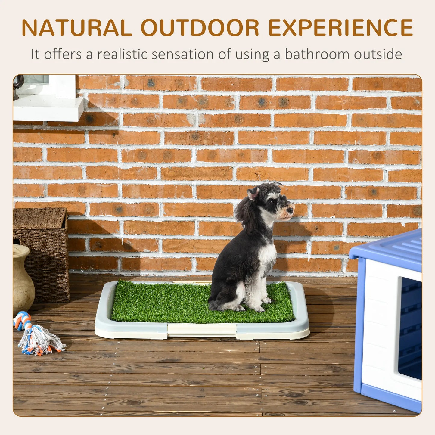 Tapis d'apprentissage pour chiot, portable pour intérieur, avec plateau, 24,8" X 19,1"