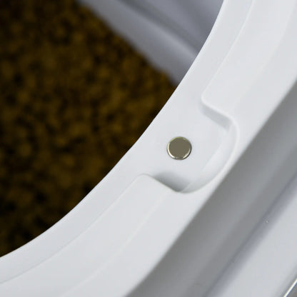 6-30lb Collapsible Dog Food Container, Airtight Lids, Wheels, Grey Dog Bowls at Gallery Canada