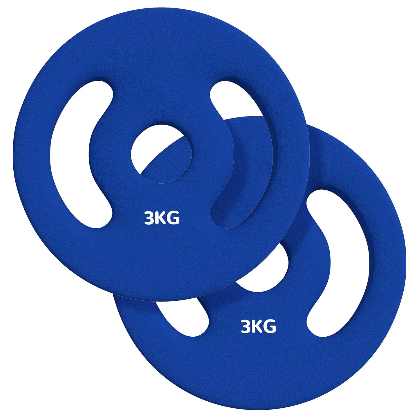 2 x 6.6lbs Weight Plates, 1" Holes, Easy-Grip Handles, Gym, Home Dumbbells & Barbells Blue at Gallery Canada