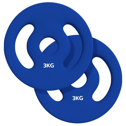 2 x 6.6lbs Weight Plates, 1" Holes, Easy-Grip Handles, Gym, Home Dumbbells & Barbells Blue at Gallery Canada