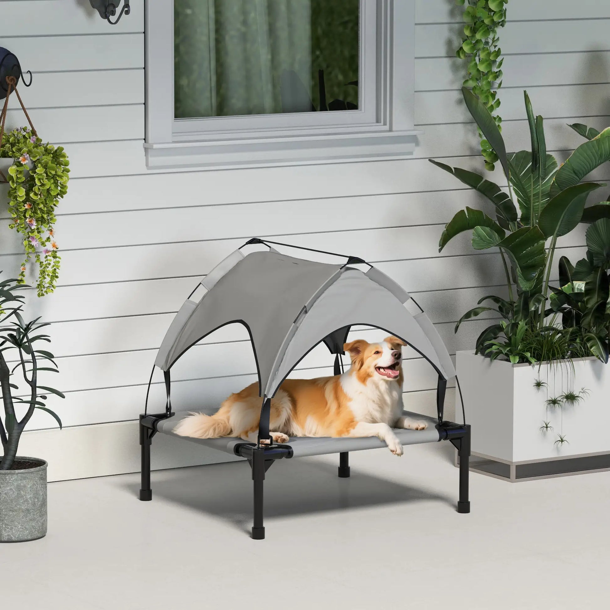 Raised Dog Bed With Canopy, Washable Mesh, Small Medium, Light Grey Elevated Dog Beds at Gallery Canada