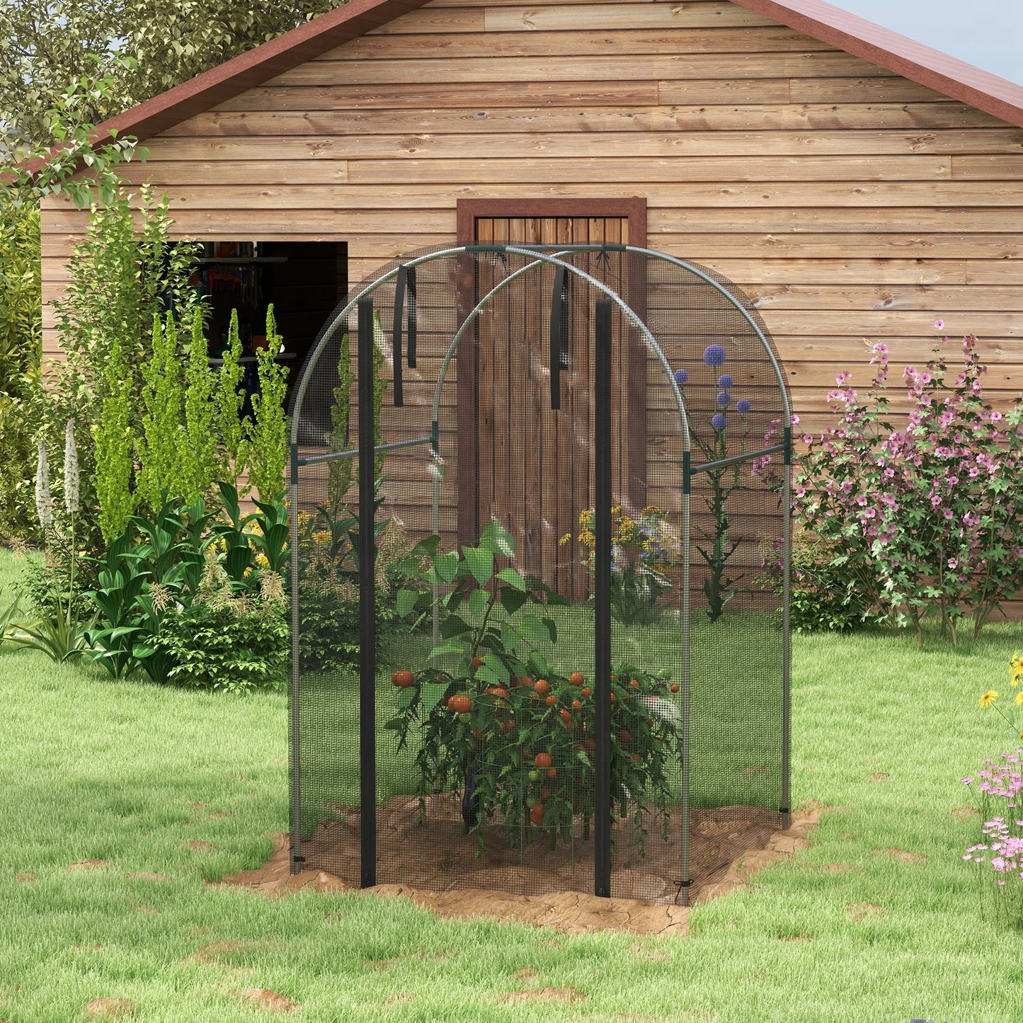 Galvanized Steel Crop Cage, Plant Protection Tent, 4' x 4', Black Walk In Greenhouses at Gallery Canada