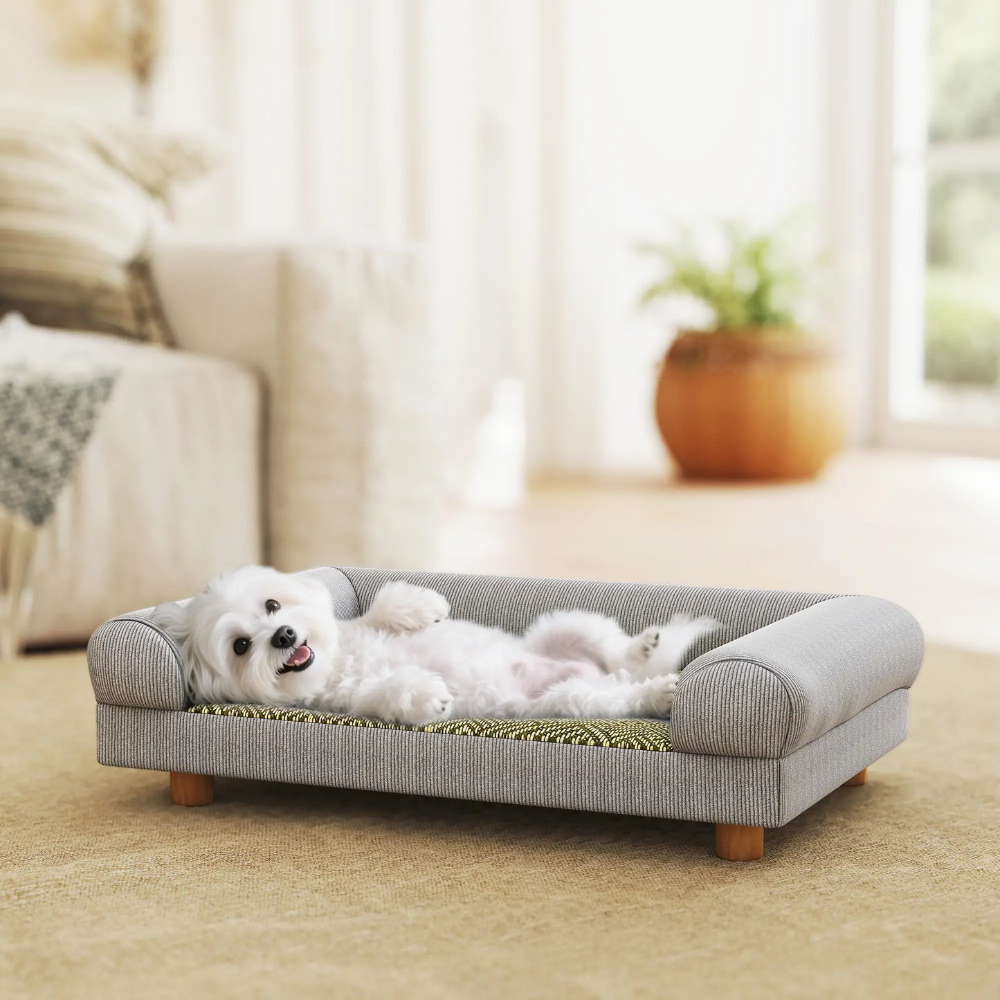 Pet Sofa, Dog Couch Bed for Small Dogs, Elevated with Solid Feet, Grey Dog Sofas at Gallery Canada
