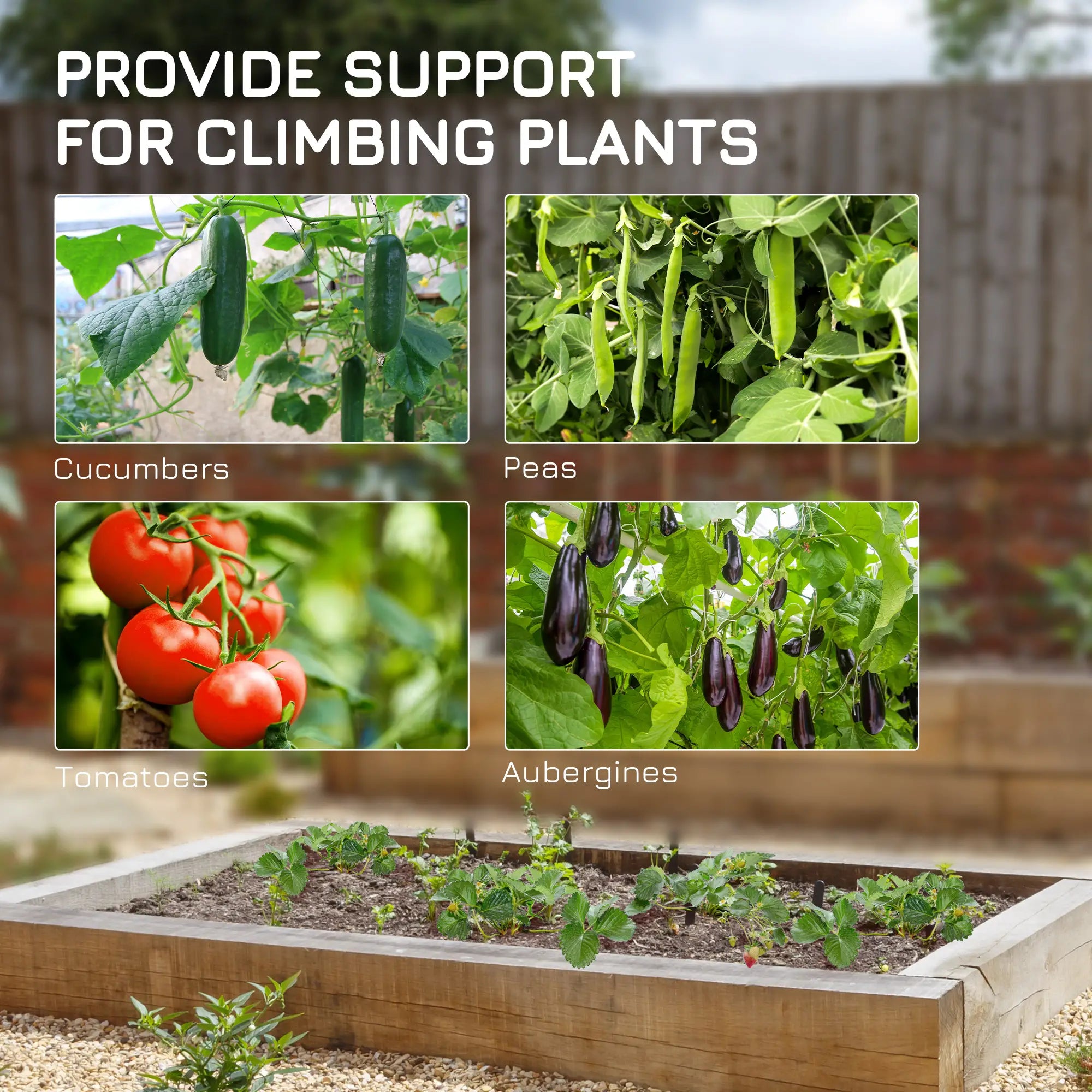 Metal Cucumber Trellis With Netting, A Frame Tomato Support, Green Plant Stands at Gallery Canada