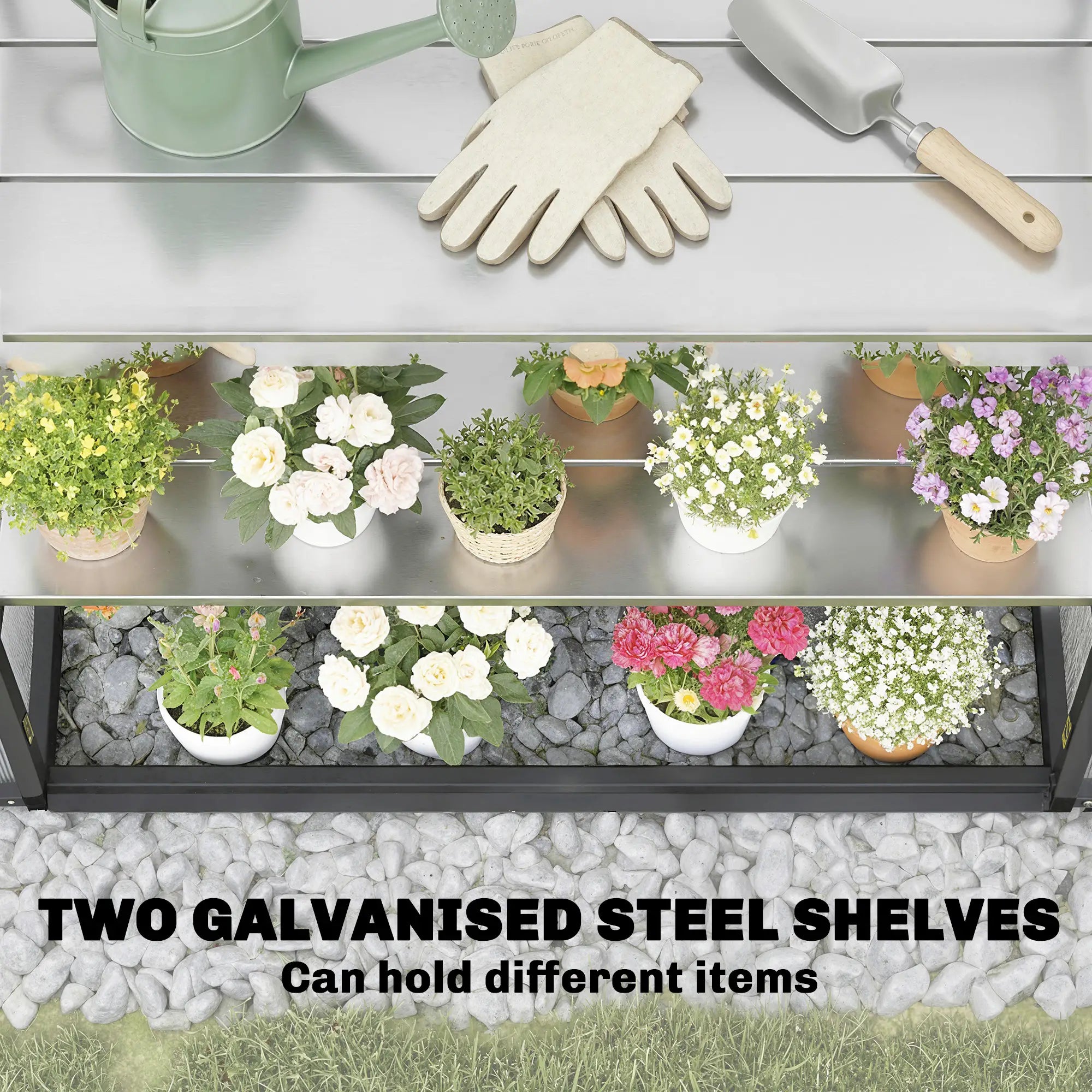 Polycarbonate Greenhouse With 2-Tier Shelves, Black Cold Frame Greenhouses at Gallery Canada