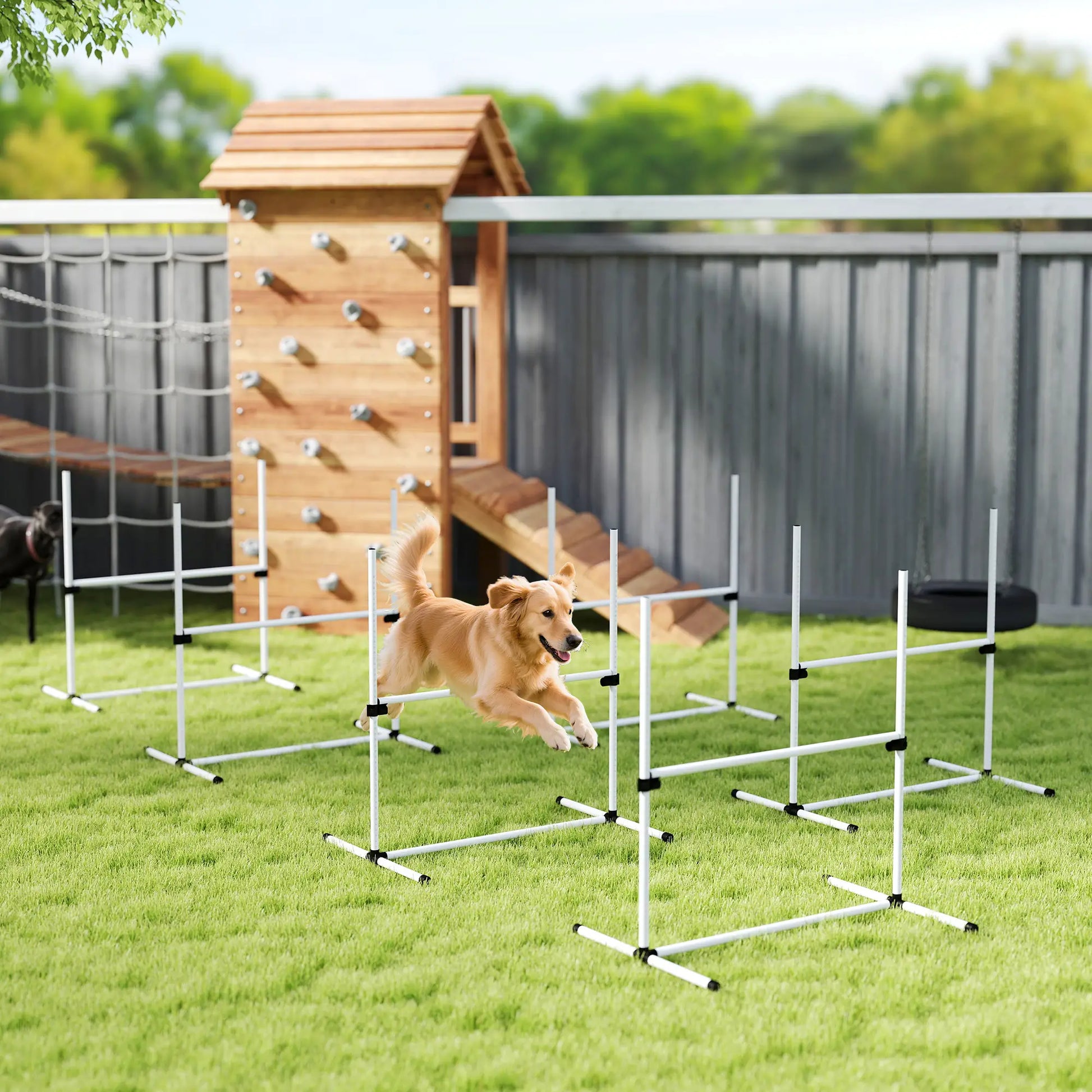 6 Pc Dog Agility Training Kit, Adjustable Jump Bar, White Dog Agility Training Equipment at Gallery Canada