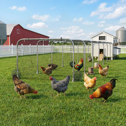 Extra Long Chicken Tunnel for Outside, 354" x 39" Galvanized Steel Chicken Run for 10-15 Chickens or Ducks Chicken Coops at Gallery Canada