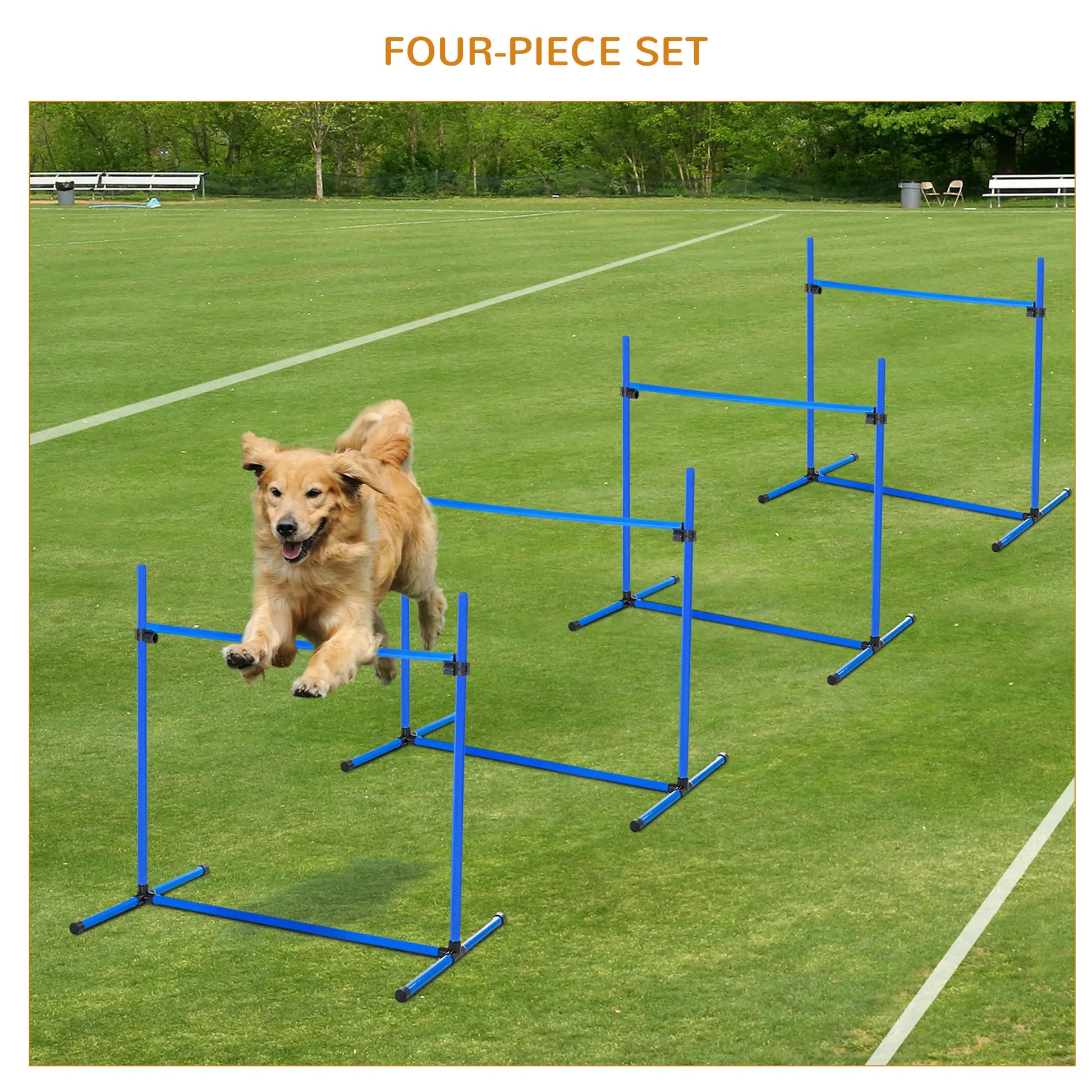 Dog Agility Training Set, 4 Adjustable Jump Bars, Exercise Kit, Blue Dog Agility Training Equipment at Gallery Canada