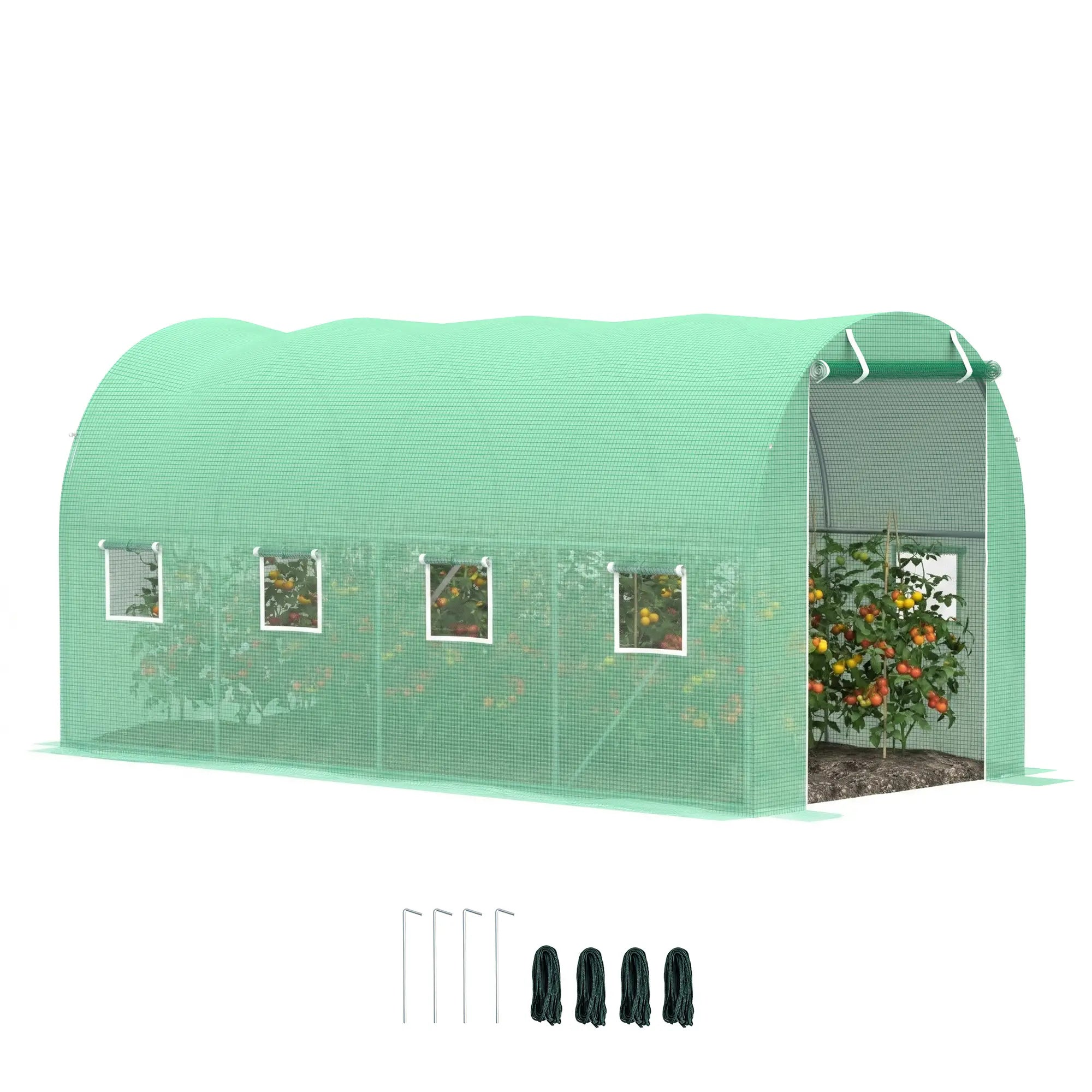 Walk-In Tunnel Greenhouse, 13x6.4x6.5ft, Galvanised Steel Frame, Green Tunnel Greenhouses at Gallery Canada
