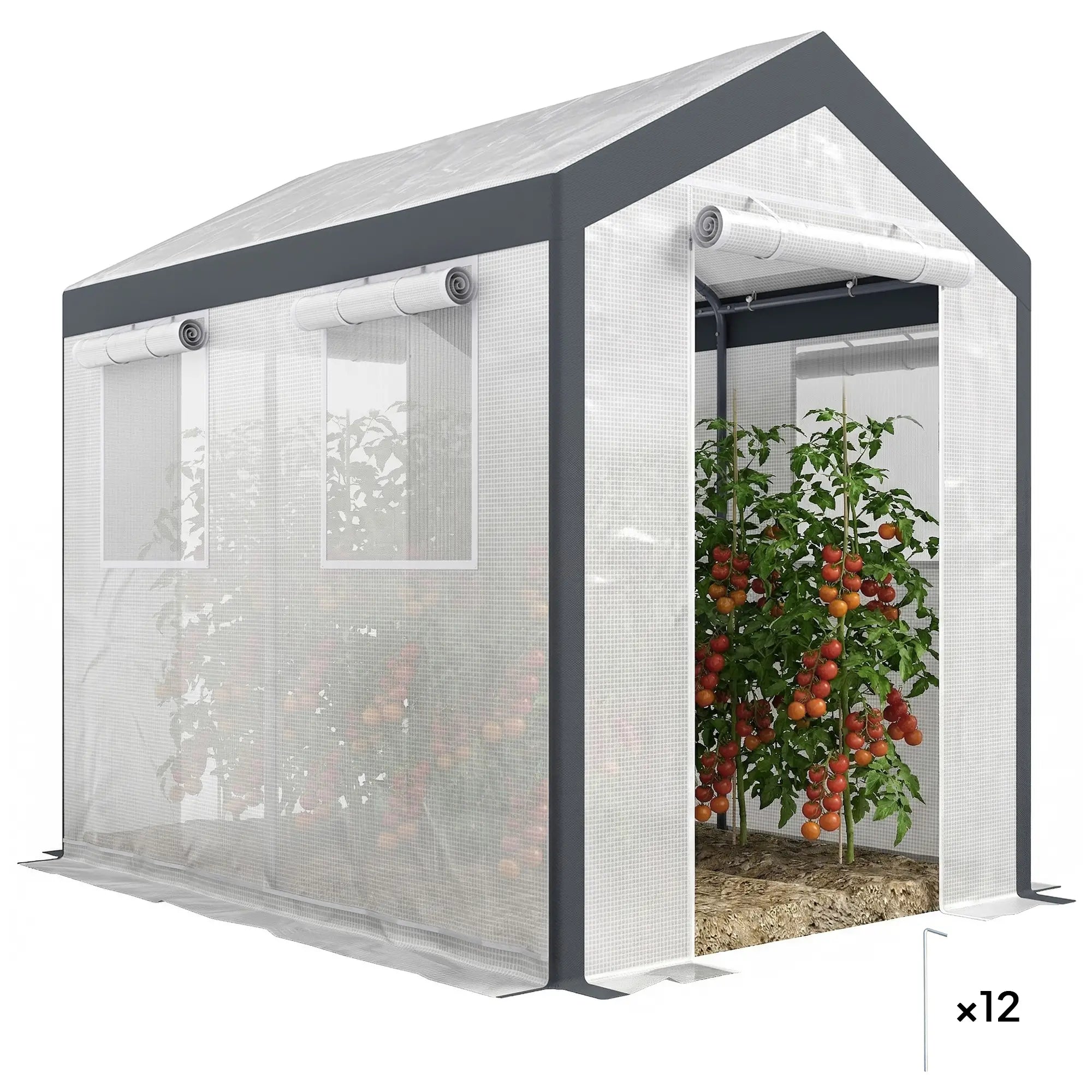 8' x 6' x 7.5' Walk-in Greenhouse, Outdoor Plant Growth Tent, White Walk In Greenhouses White, Grey at Gallery Canada
