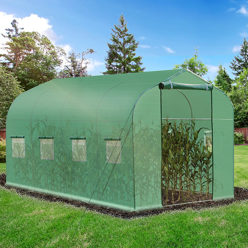13' x 6.5' x 6.5' Walk-In Greenhouse, Plant Grow Tent, Green