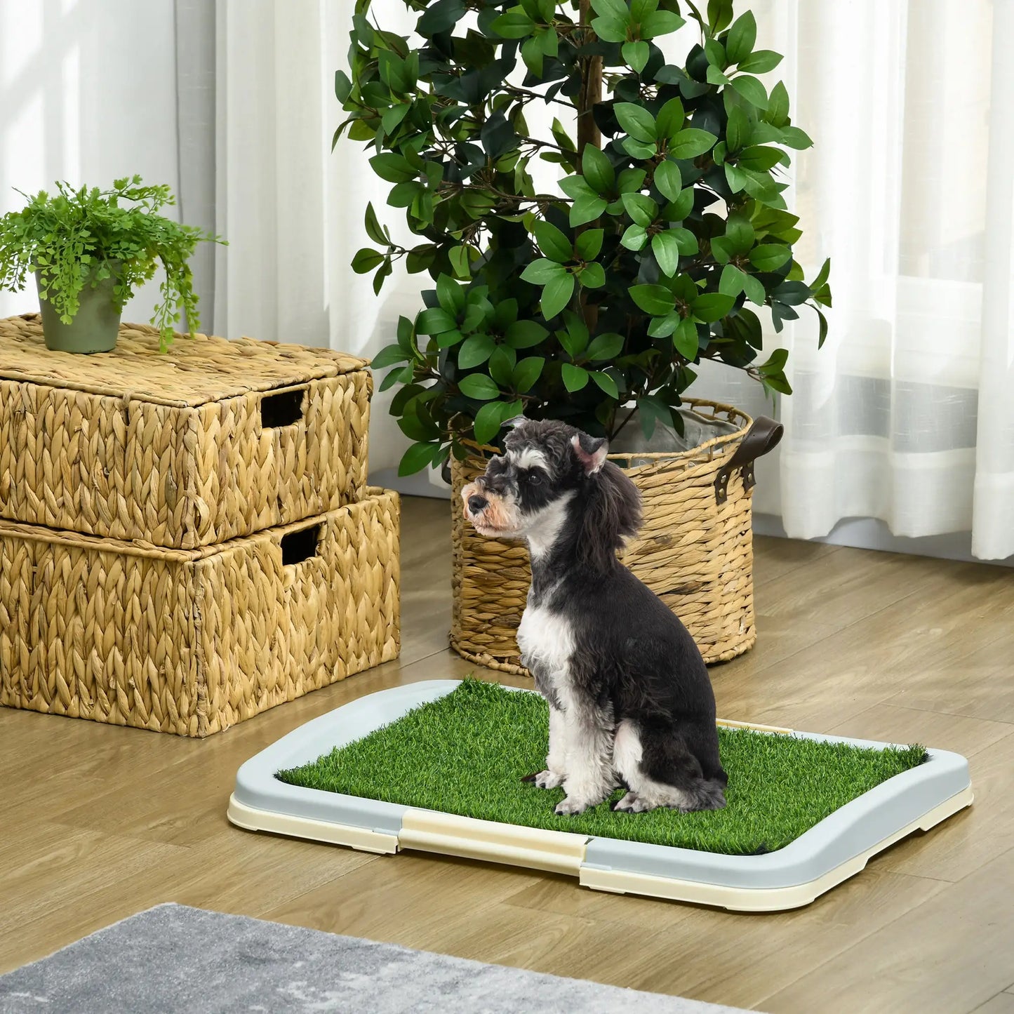 Tapis d'apprentissage pour chiot, portable pour intérieur, avec plateau, 24,8" X 19,1"
