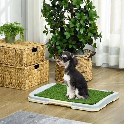Tapis d'apprentissage pour chiot, portable pour intérieur, avec plateau, 24,8" X 19,1"