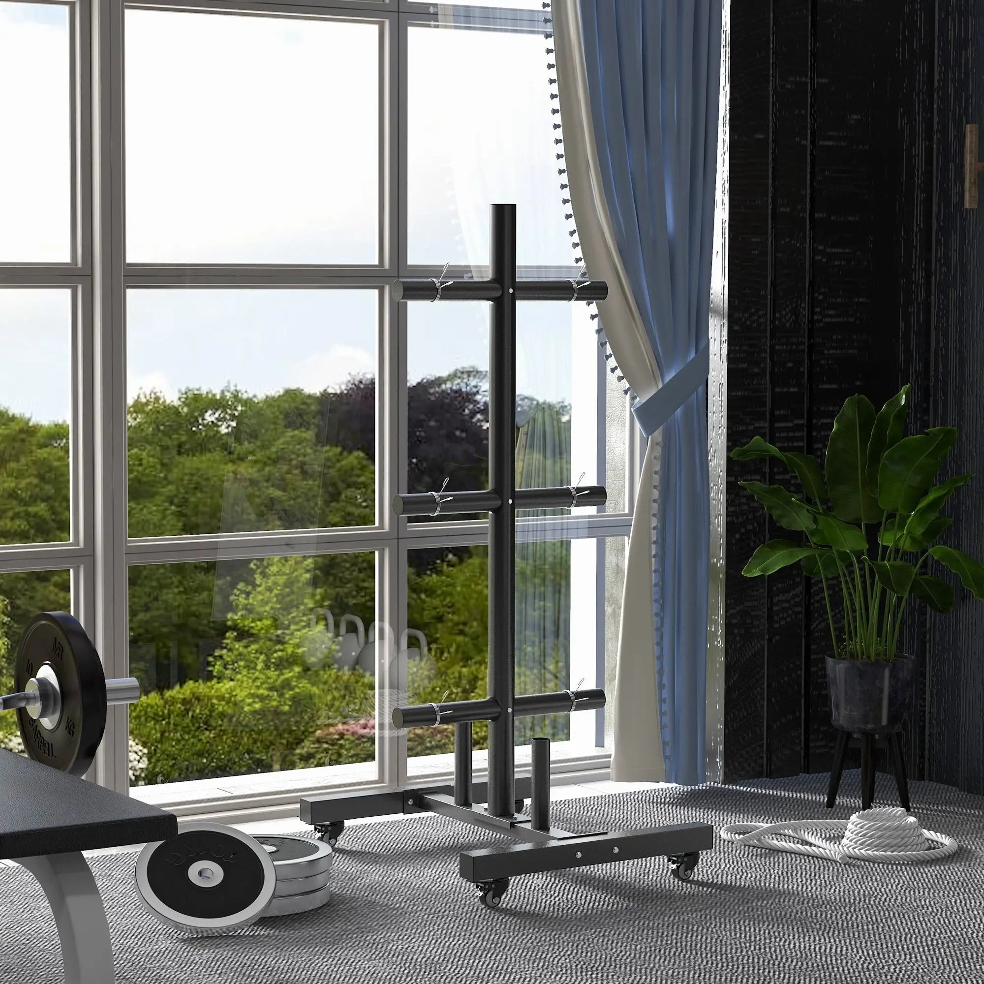 Weight Plate Rack, Holder for 2 Inch Plates and Bars, 440 Lbs Capacity More-Strength Training Equipment at Gallery Canada