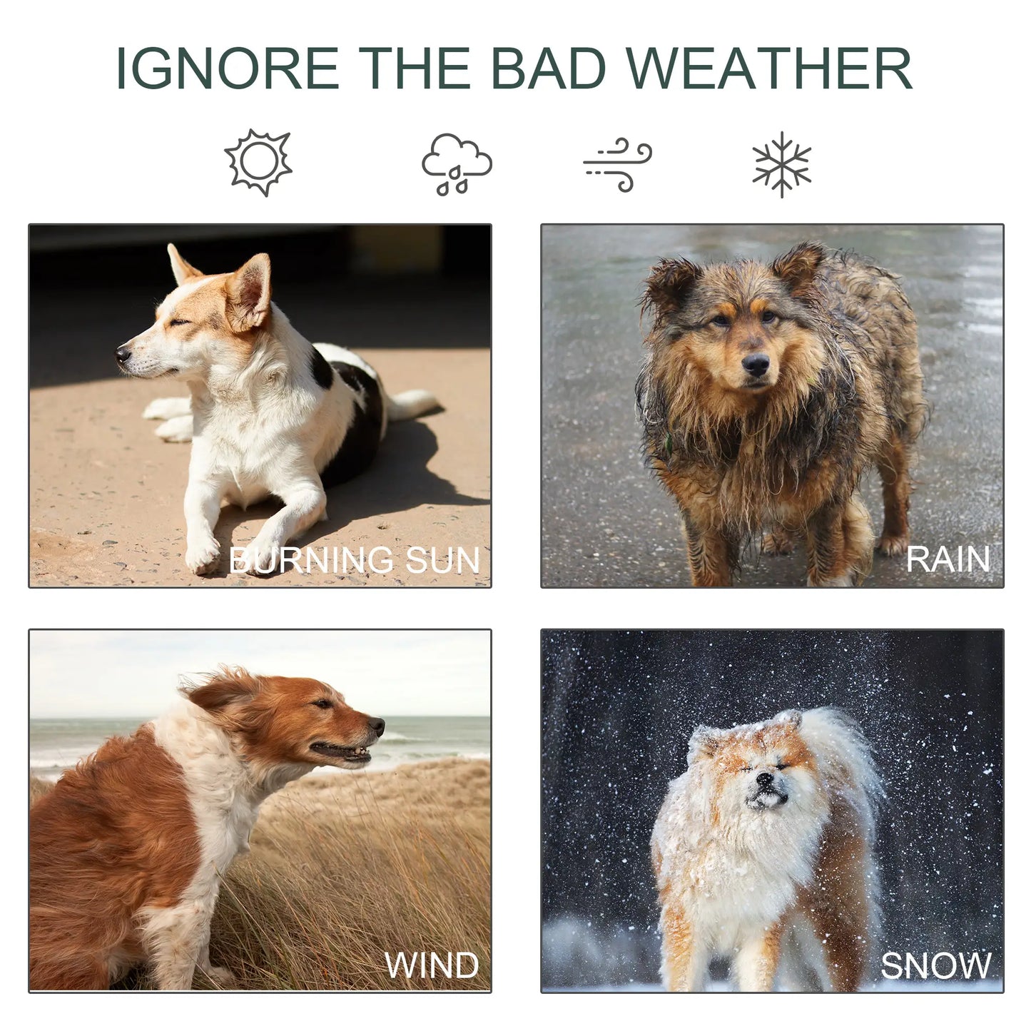 Outdoor Dog Kennel, Waterproof UV-Resistant Cover, 8 x 4 x 6 ft Houses, Kennels & Pens at Gallery Canada