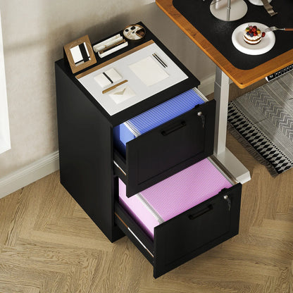 2 Drawer Filing Cabinet with Lock, Office Storage, Black Office Cabinets & Cupboards at Gallery Canada