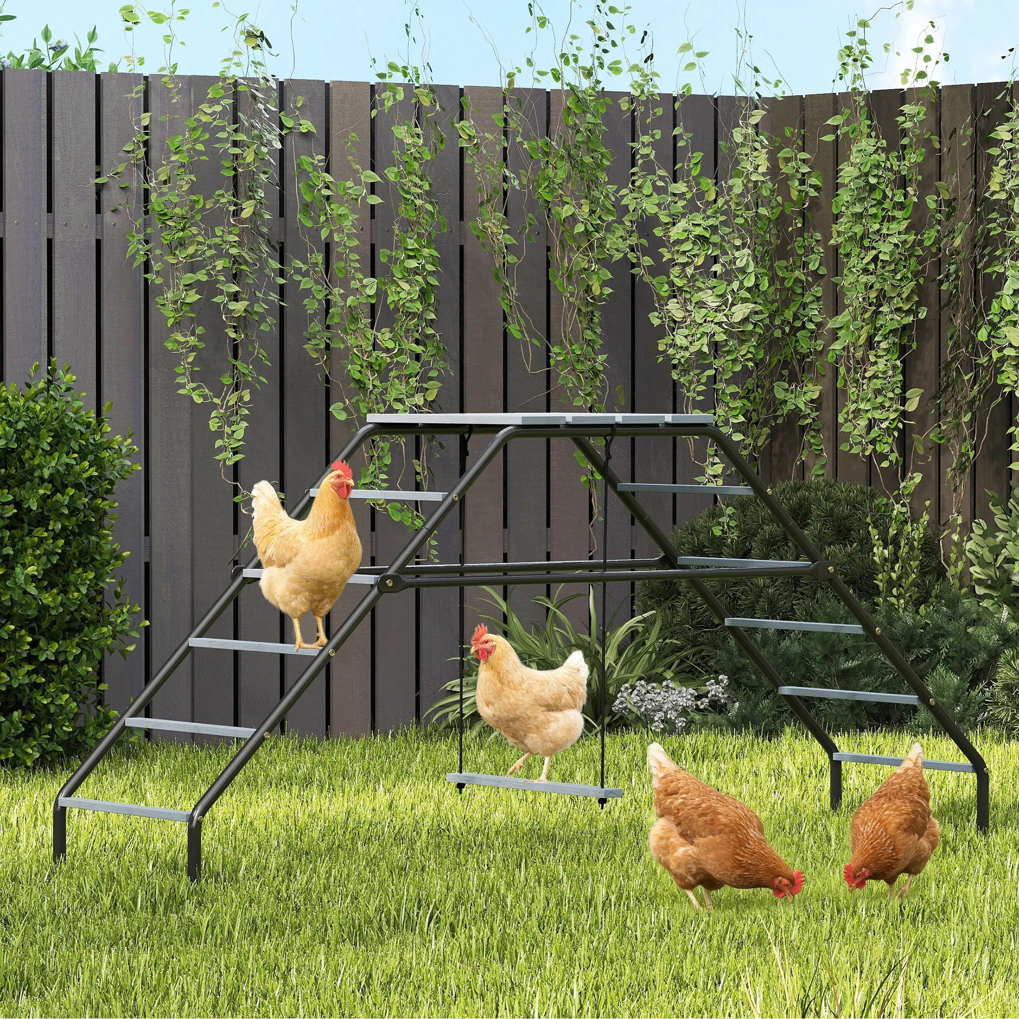 Chicken Coop Perches With Swing, Backyard Farm Accessories Chicken Coops at Gallery Canada