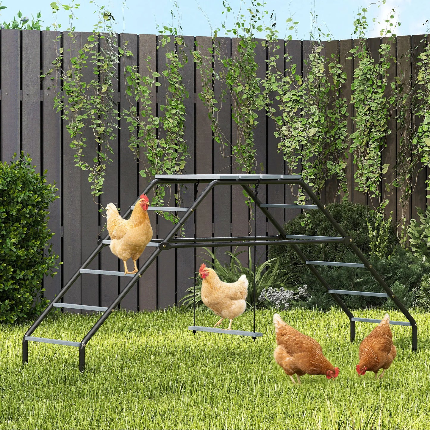 Chicken Coop Perches With Swing, Backyard Farm Accessories Chicken Coops at Gallery Canada