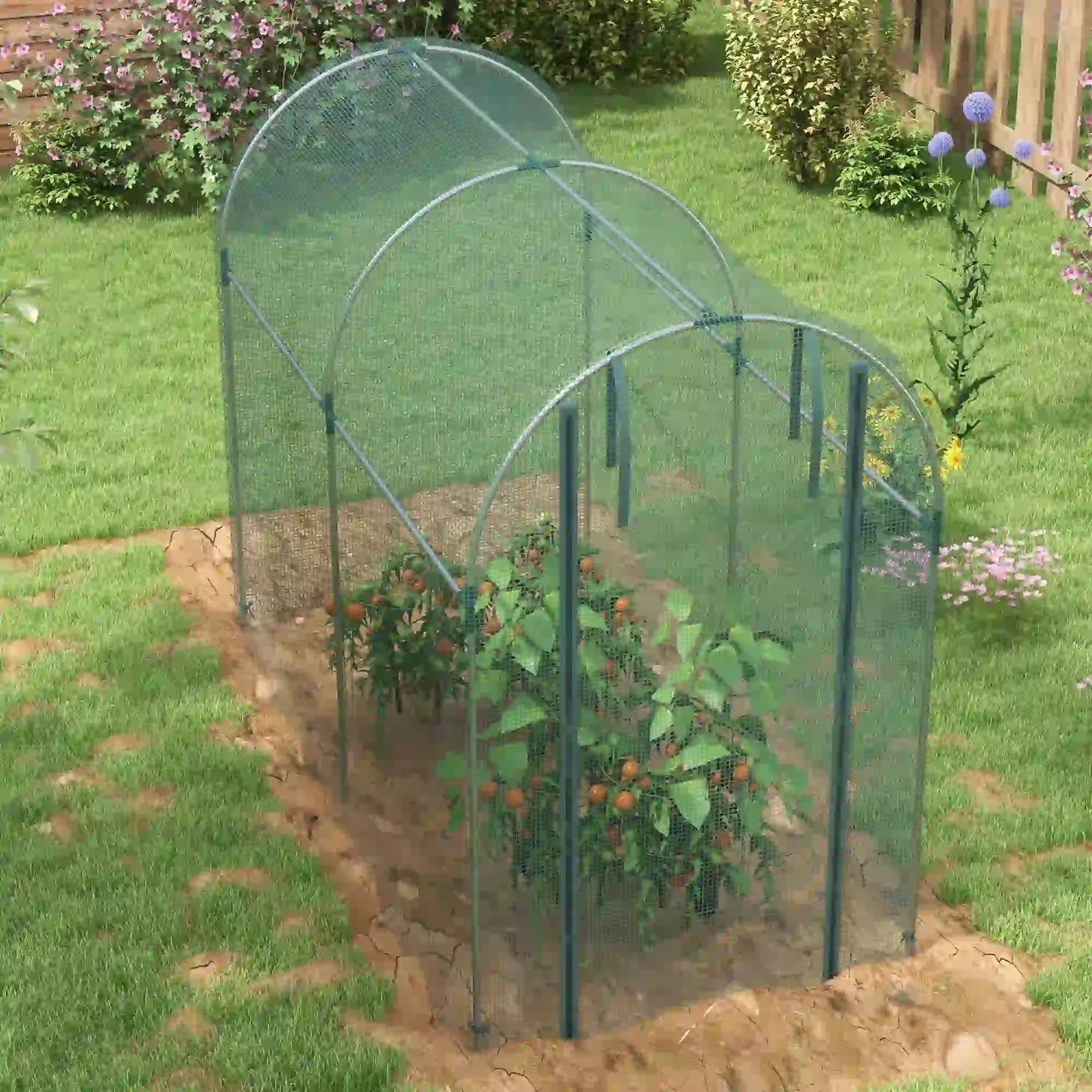 Galvanized Steel Crop Cage, Plant Protection Tent, 4' x 8', Green Walk In Greenhouses at Gallery Canada