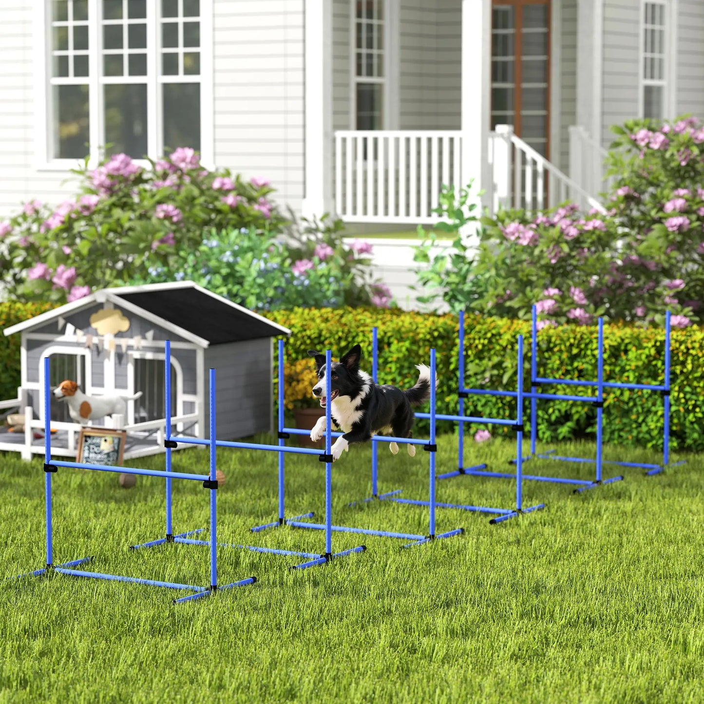 Set of 6 Dog Agility Training Jump Bars, Adjustable, Blue Dog Agility Training Equipment at Gallery Canada