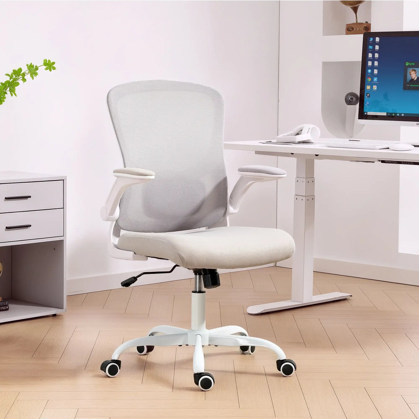 Ergonomic Mesh Office Chair, 4D Lumbar Support, Flip-Up Armrests, Tilt, Grey Task Chairs at Gallery Canada