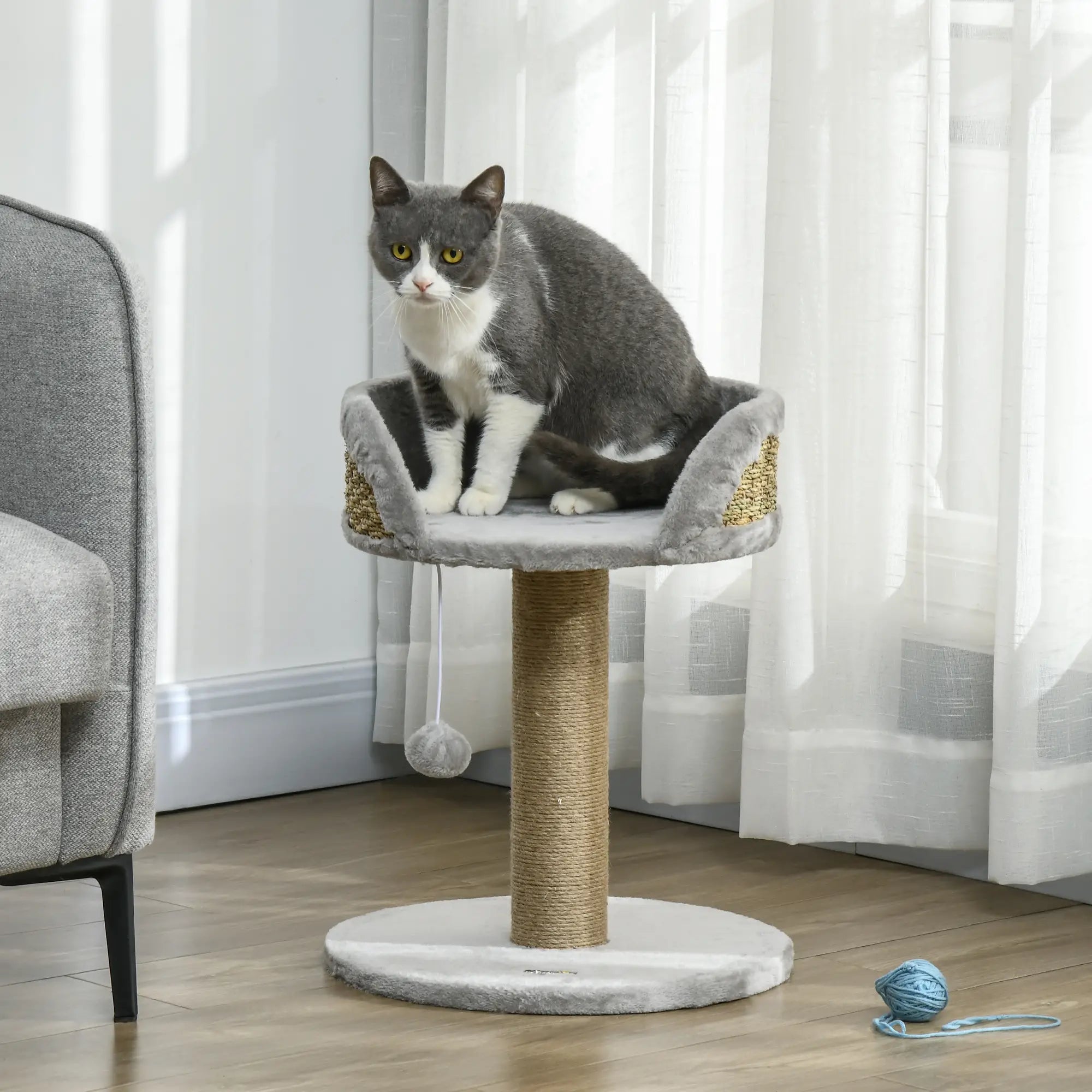 Cat Tree with Scratching Post, Toy Ball, Perch, 16