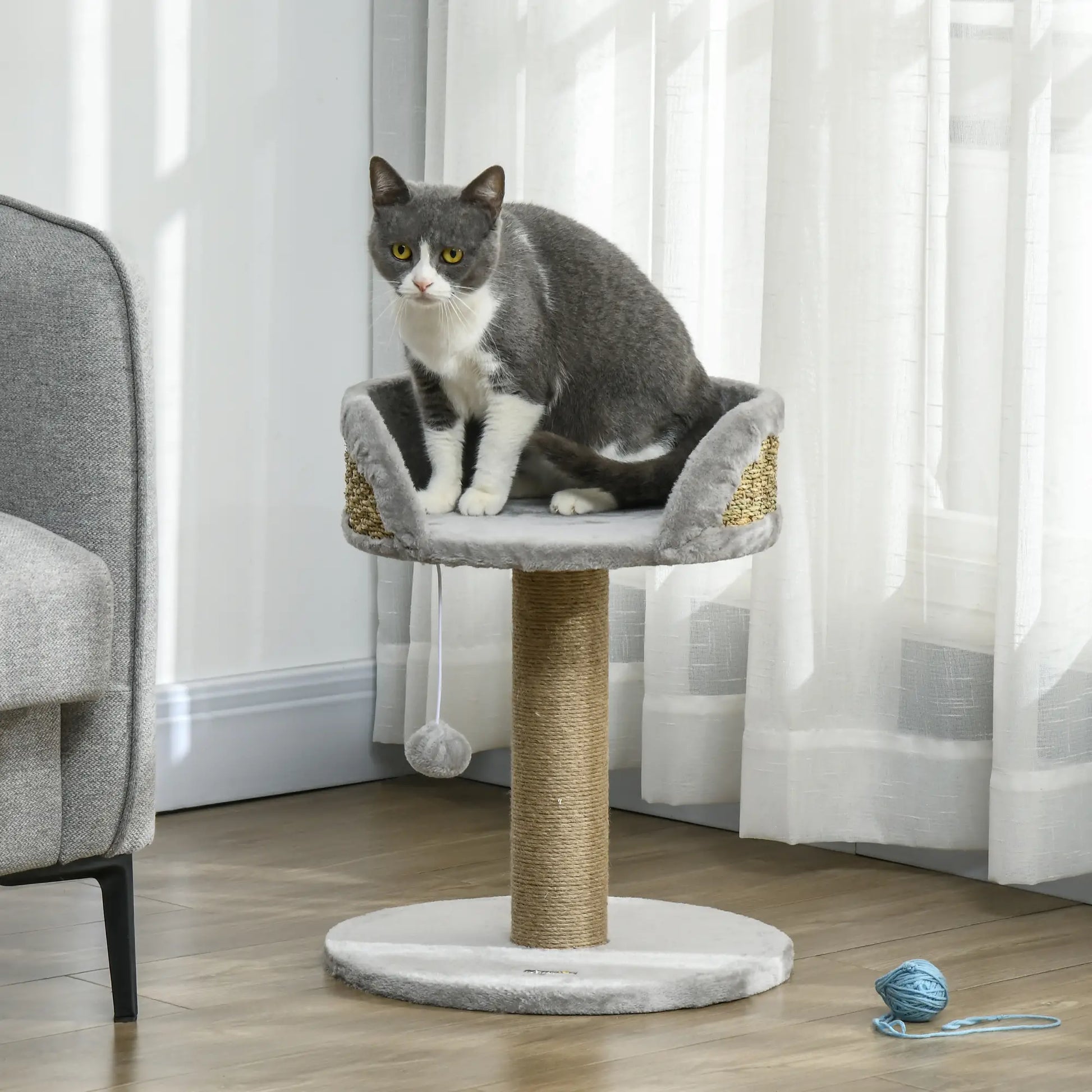 Cat Tree with Scratching Post, Toy Ball, Perch, 16" x 16" x 19", Grey Cat Trees at Gallery Canada